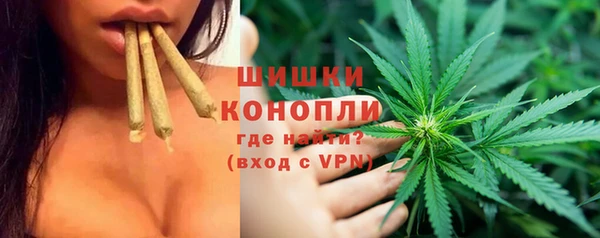 ПСИЛОЦИБИНОВЫЕ ГРИБЫ Абаза