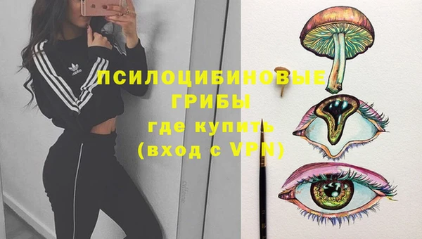 крисы Алексеевка