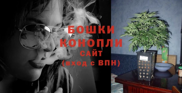 гидропоника Рославль